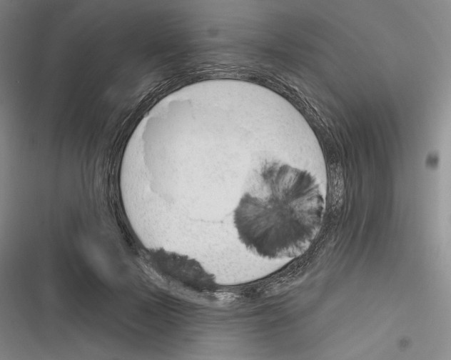 X0000116380695201001131809