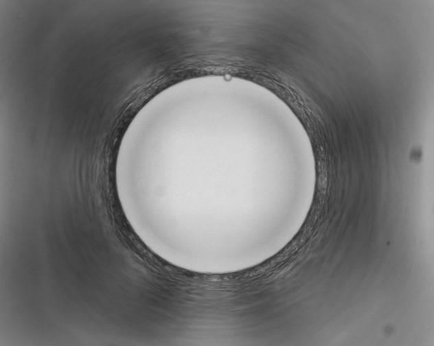X0000116380696201001131809