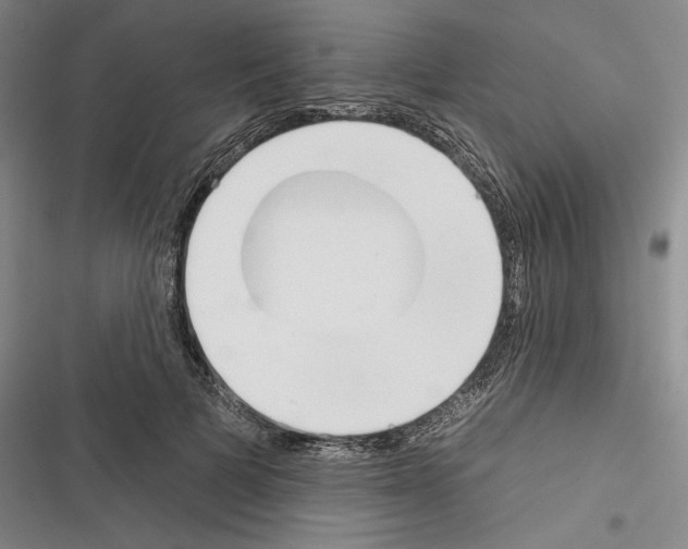 X0000116380697201001131809