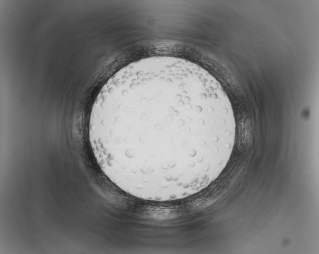 X0000116380698201001131809
