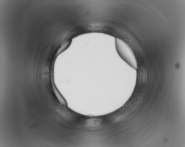 X0000116380700201001131808