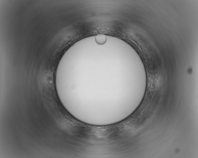 X0000116380701201001131808