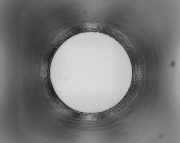 X0000116380702201001131808