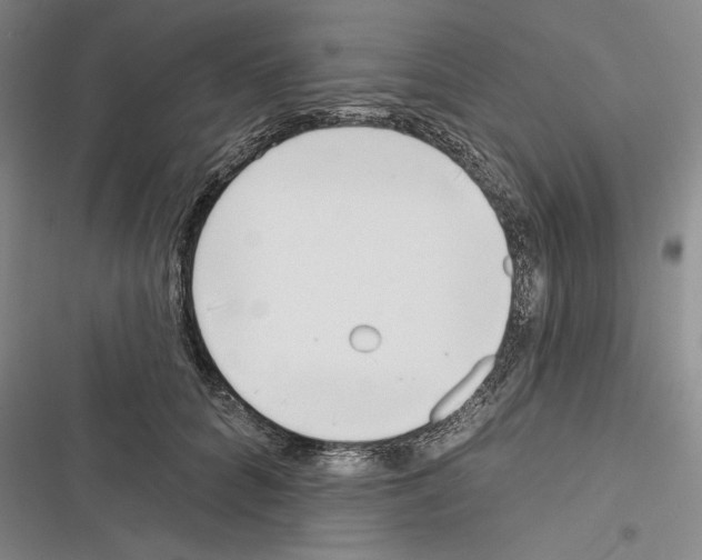 X0000116380704201001131808