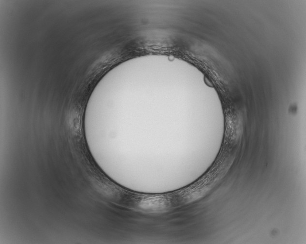X0000116380705201001131808