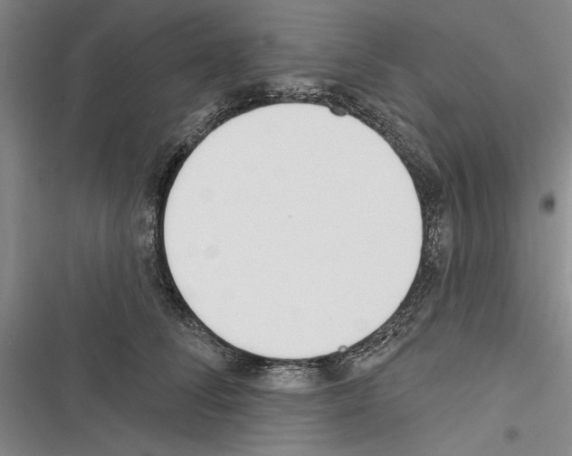 X0000116380708201001131808