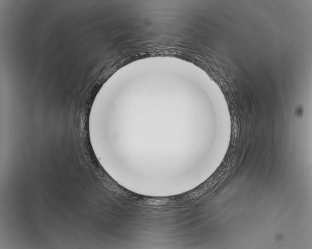 X0000116380709201001131808