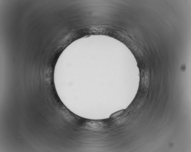 X0000116380712201001131808