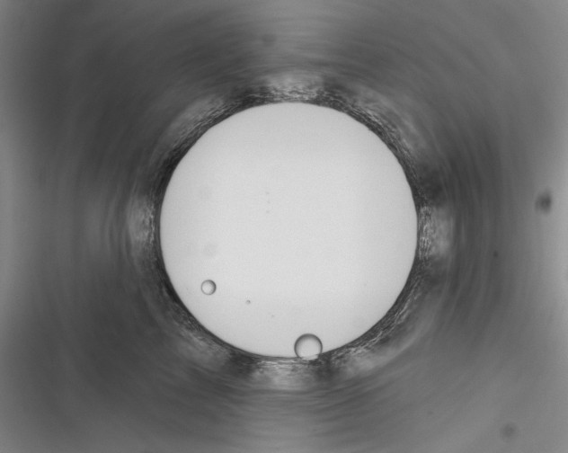 X0000116380713201001131808