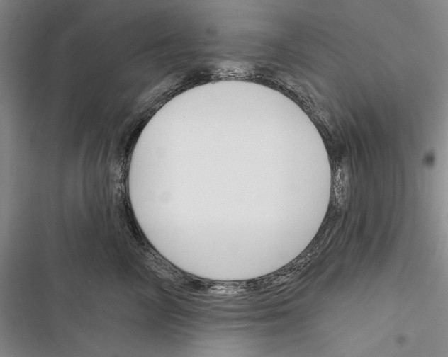 X0000116380714201001131808