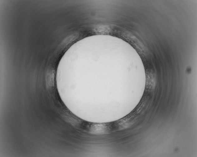 X0000116380717201001131808