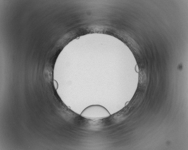 X0000116380718201001131808