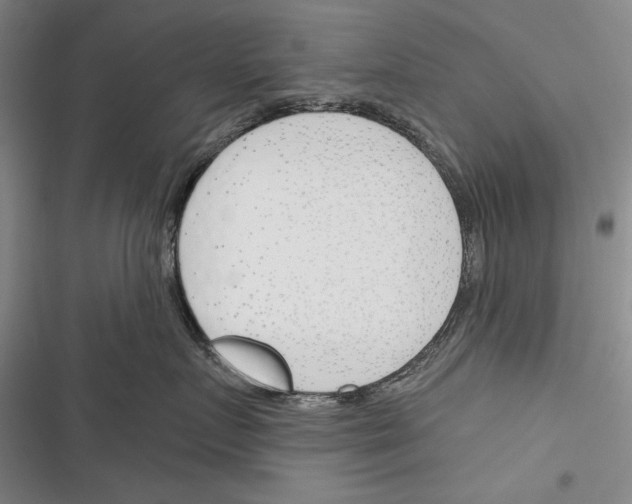 X0000116380719201001131808
