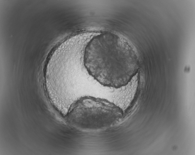 X0000116380721201001131808