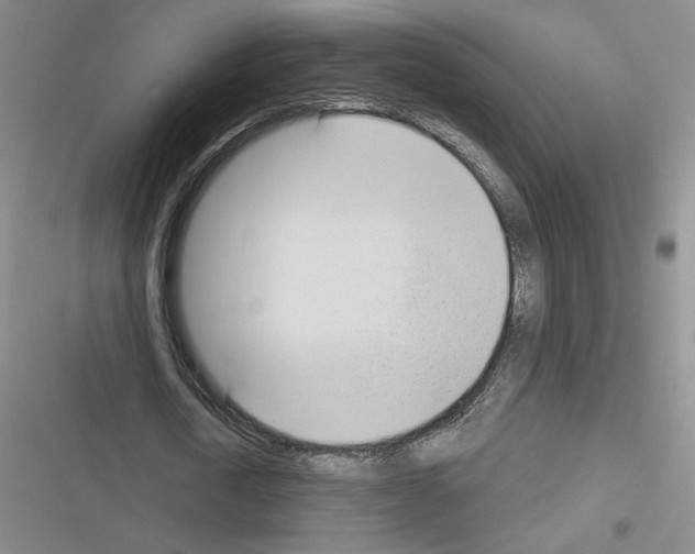 X0000116380722201001131808