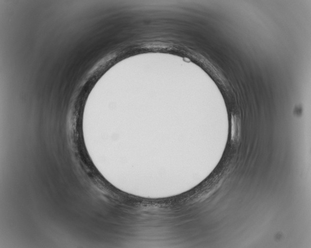 X0000116380723201001131808