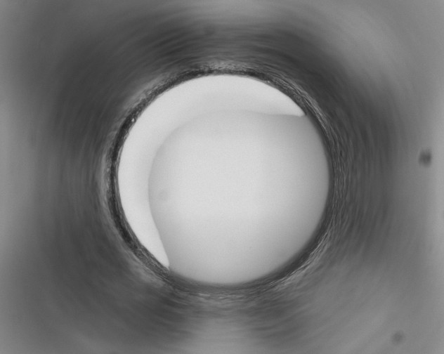 X0000116380725201001131808