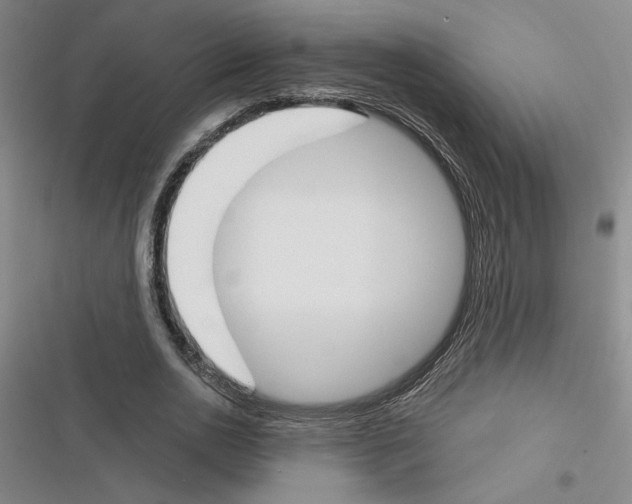 X0000116380726201001131808