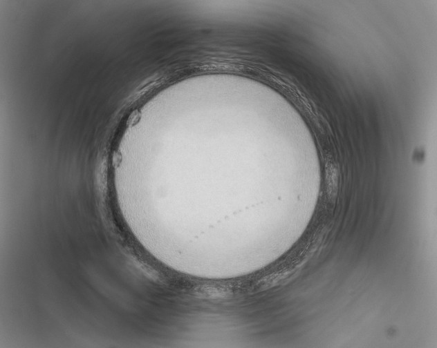 X0000116380729201001131808