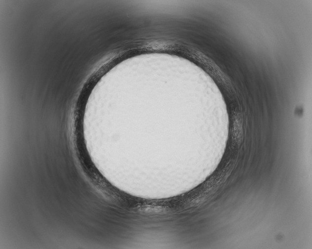 X0000116380730201001131808