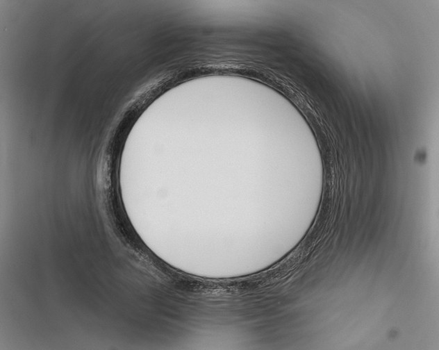 X0000116380731201001131808