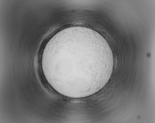 X0000116380734201001131808