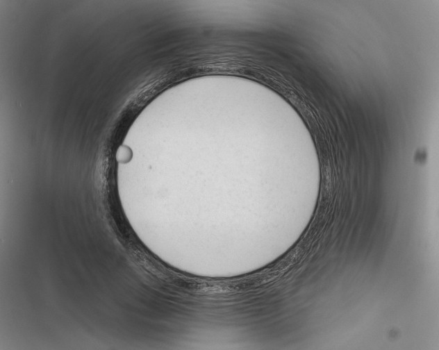 X0000116380735201001131808