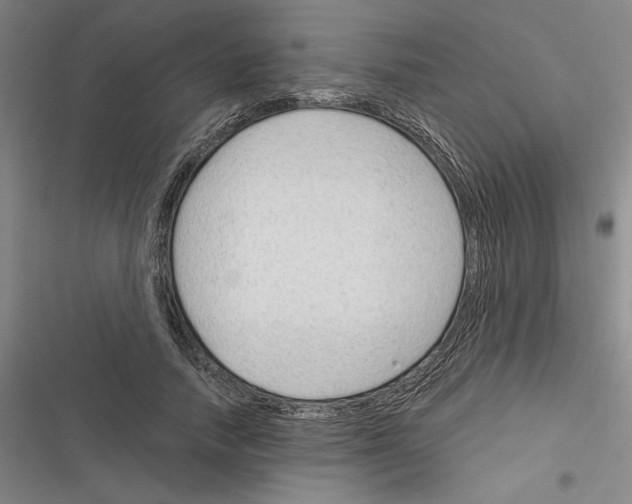 X0000116380738201001131808