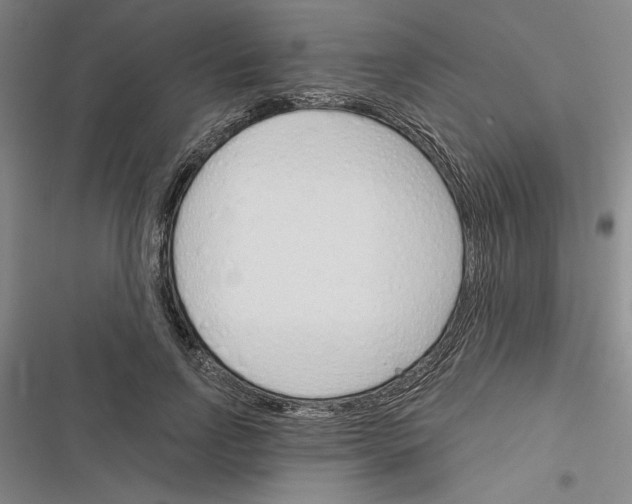 X0000116380742201001131808