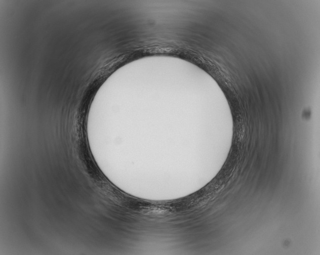 X0000116380743201001131808