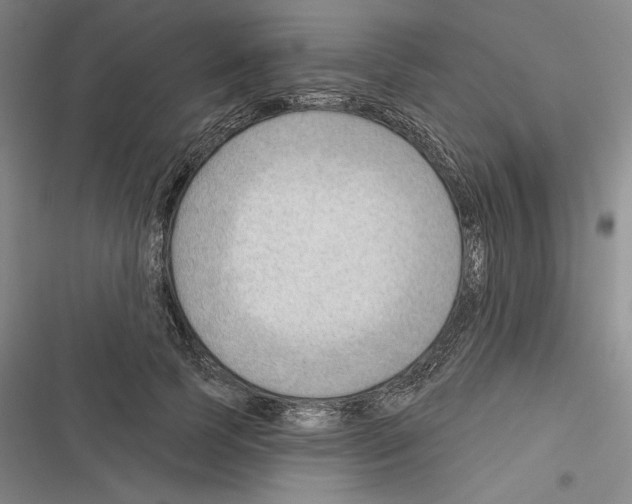 X0000116380745201001131808
