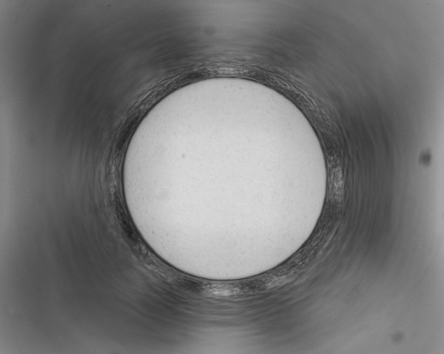 X0000116380746201001131808