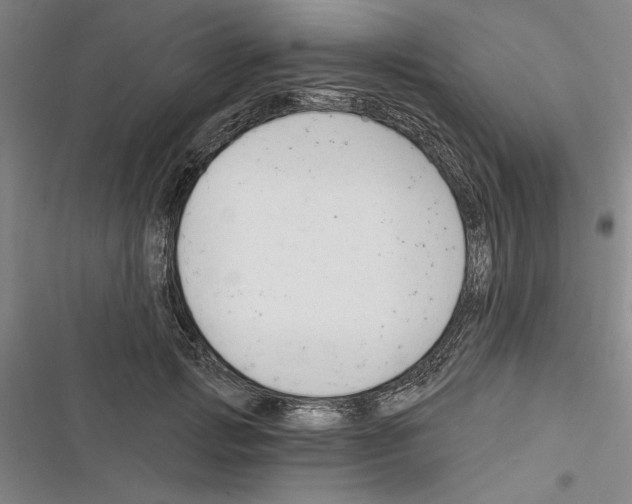 X0000116380749201001131808