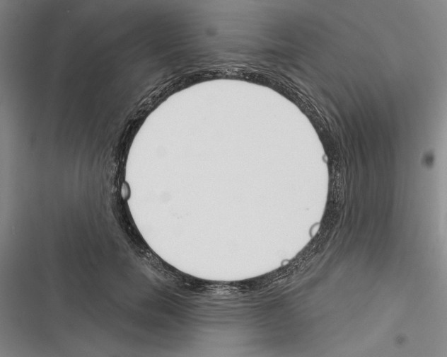 X0000116380750201001131808