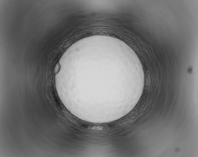 X0000116380751201001131808
