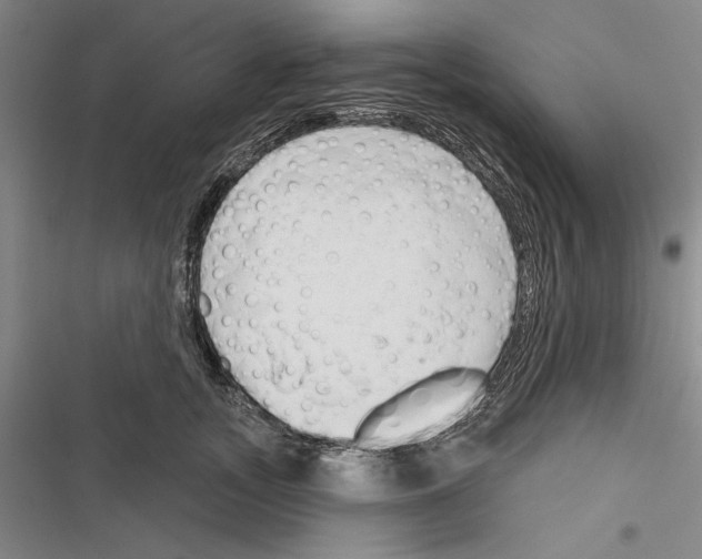 X0000116380755201001131808