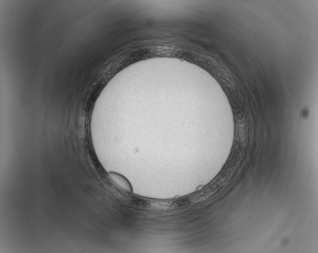 X0000116380757201001131808