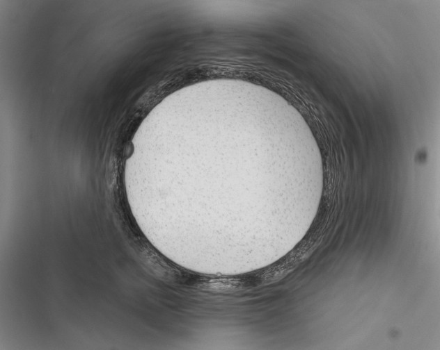 X0000116380758201001131808