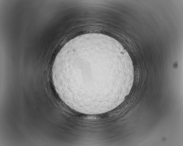 X0000116380759201001131808