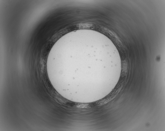 X0000116380761201001131808