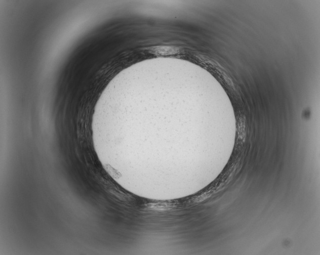 X0000116380763201001131808