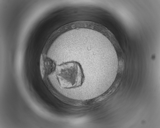 X0000116380765201001131808