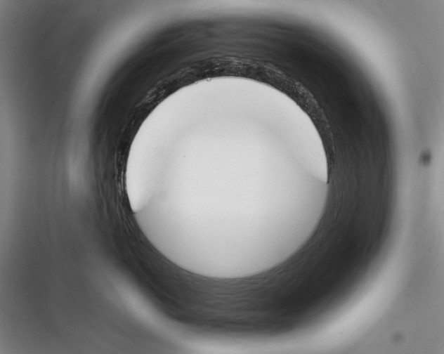 X0000116380766201001131808