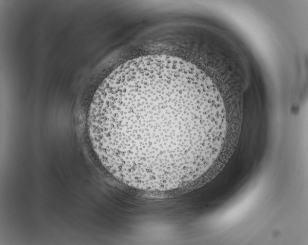 X0000116380767201001131808