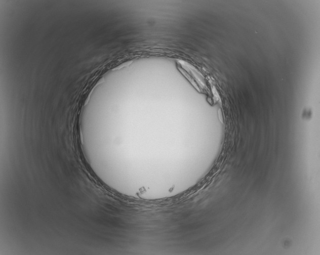 X0000116380769201001131808