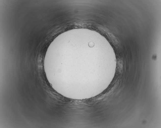 X0000116380770201001131808