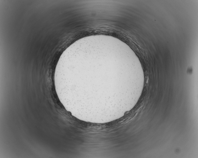 X0000116380771201001131808