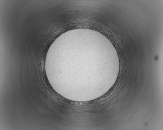 X0000116380772201001131808
