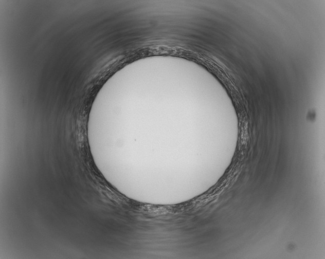 X0000116380774201001131807