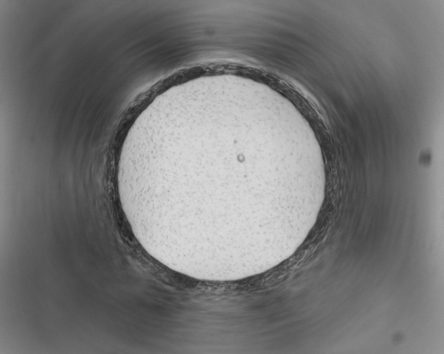 X0000116380775201001131807